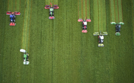 DJI_0377